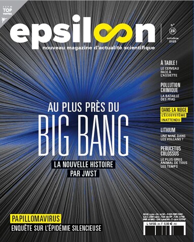 Epsiloon logo